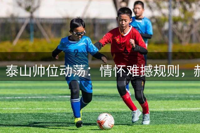 泰山帅位动荡：情怀难撼规则，郝伟复出无望引发思考